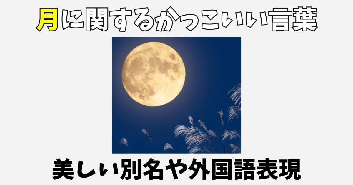 月に関するかっこいい言葉123選！美しい別名や外国語の表現一覧